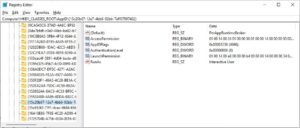 Registry PerAppRuntimeBroker