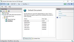 WordPress Default Document